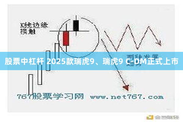 股票中杠杆 2025款瑞虎9、瑞虎9 C-DM正式上市