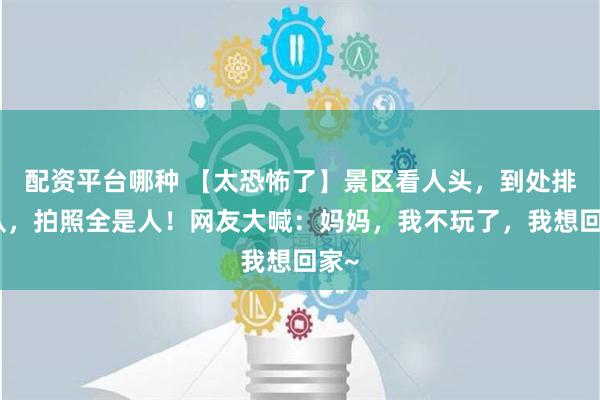 配资平台哪种 【太恐怖了】景区看人头，到处排长队，拍照全是人！网友大喊：妈妈，我不玩了，我想回家~