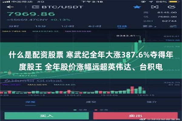 什么是配资股票 寒武纪全年大涨387.6%夺得年度股王 全年股价涨幅远超英伟达、台积电